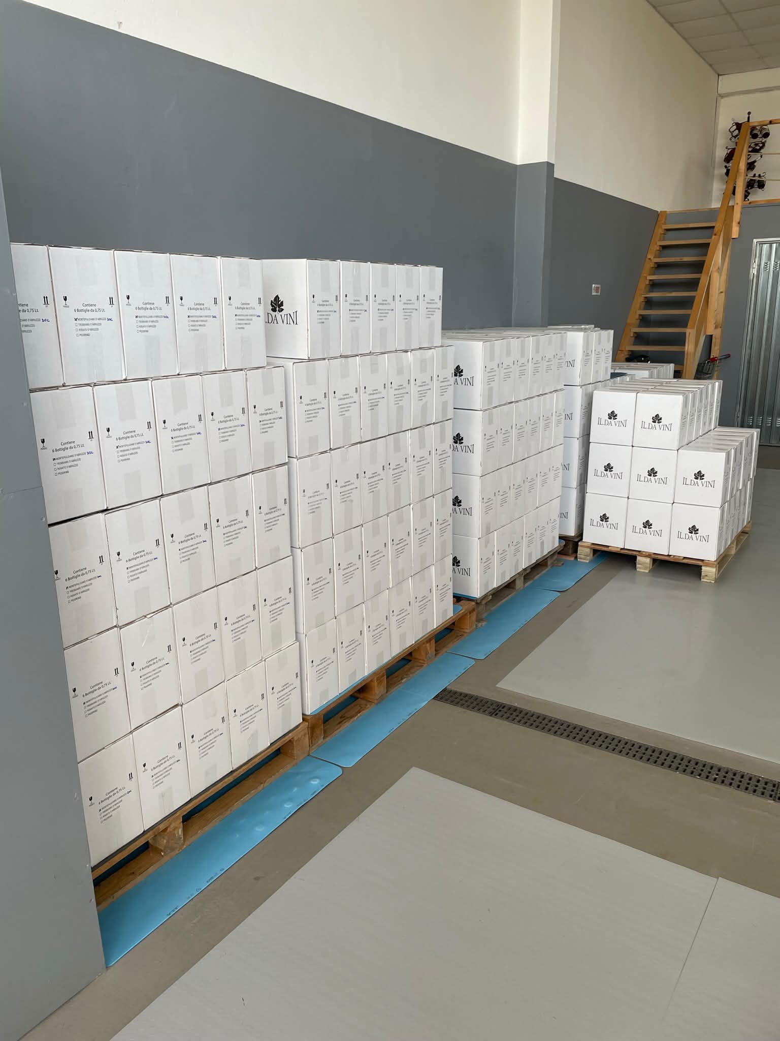 Cantina Ildavini – Magazzino