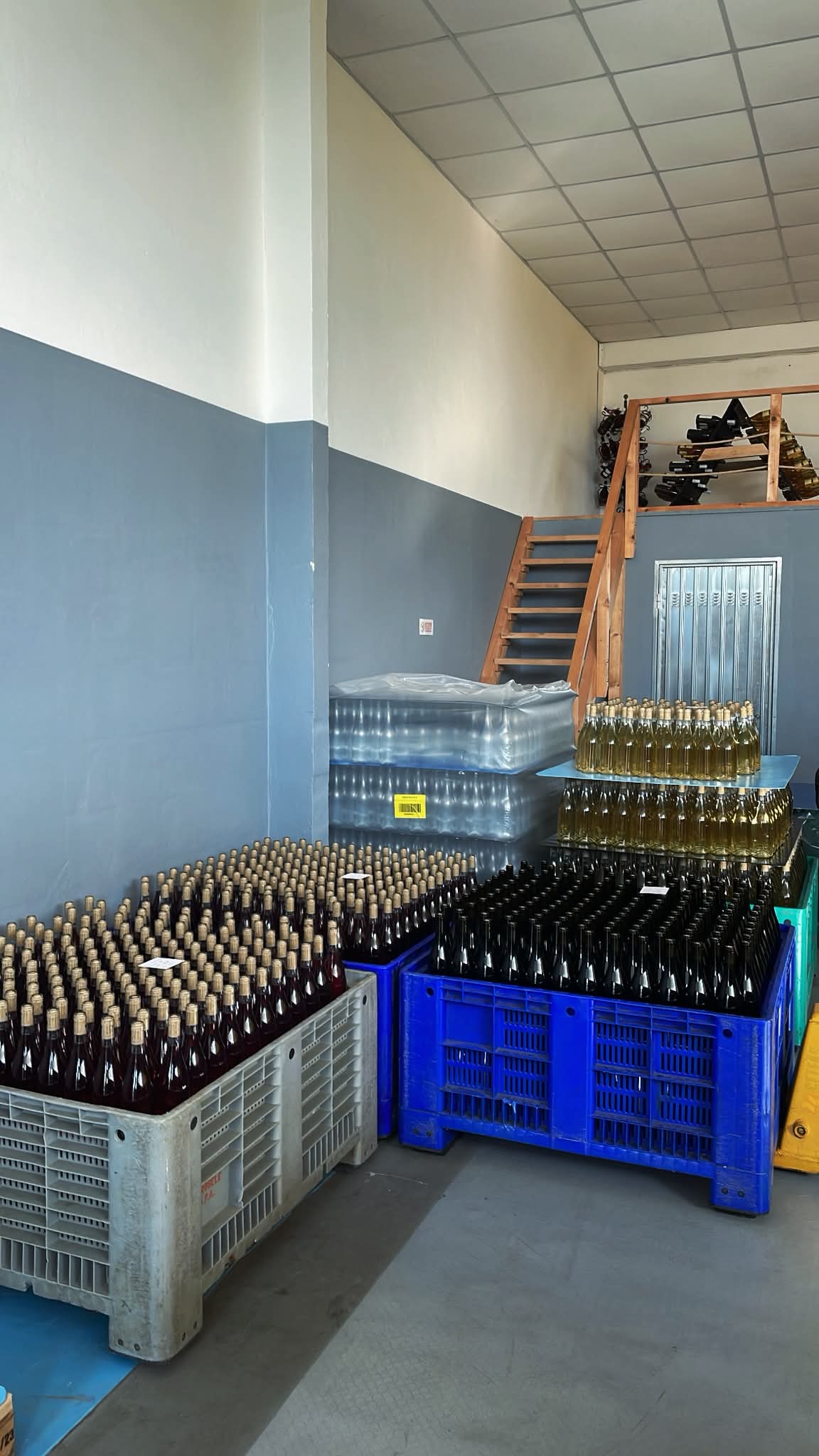 Cantina Ildavini – Interiore