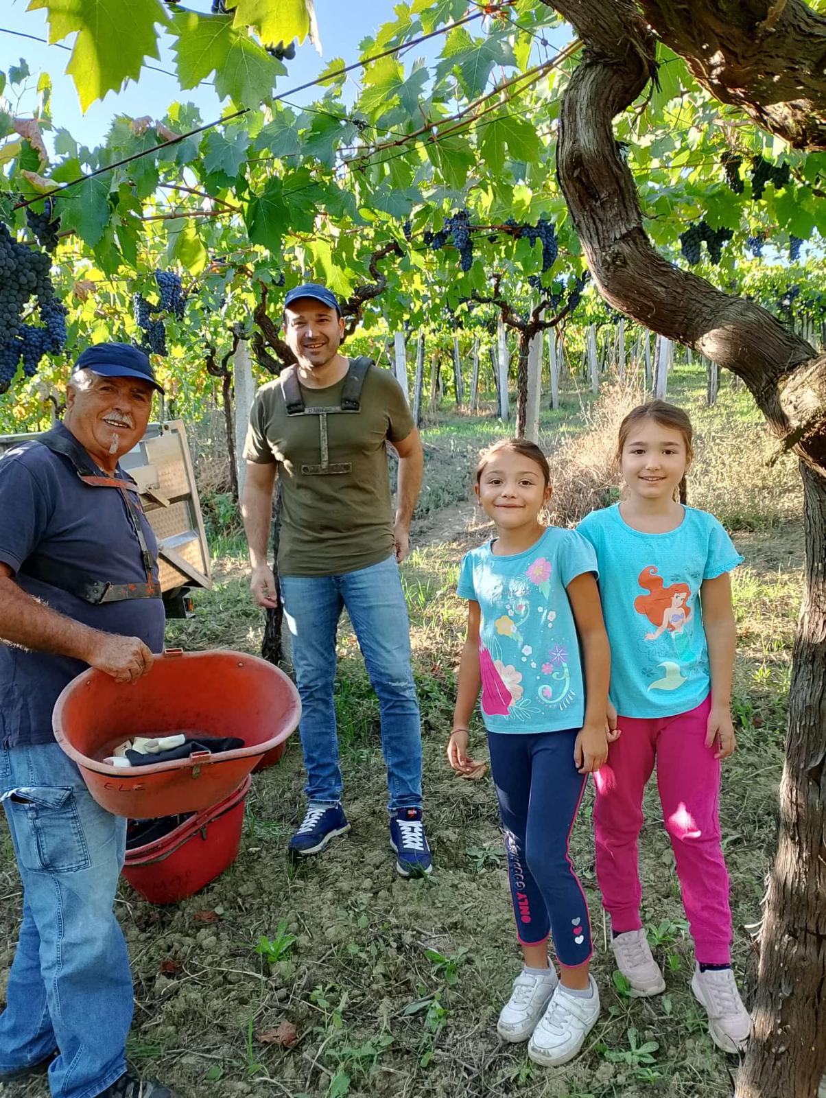 Vendemmia manuale – Famiglia al lavoro
